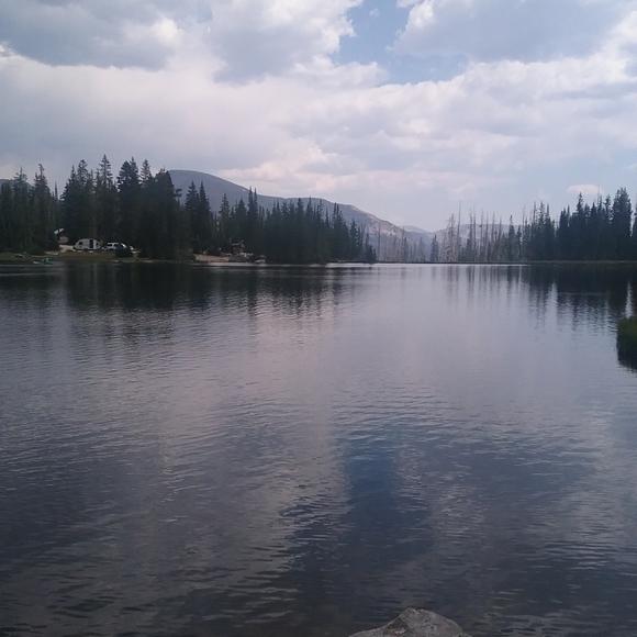 Meet your Posher, Leone - Picture 4 of 14